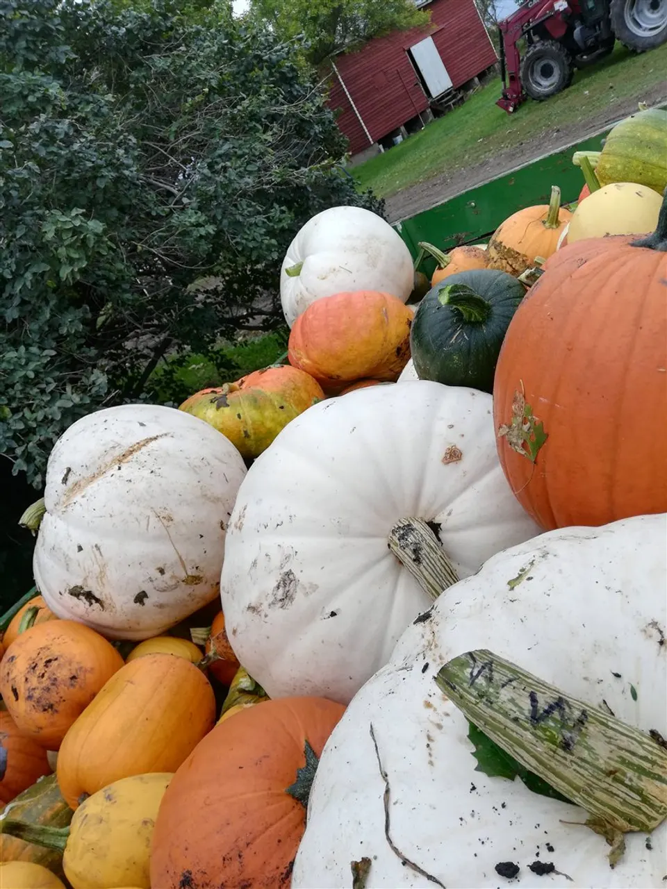A wagon filled with orange, green, and white pumpkins